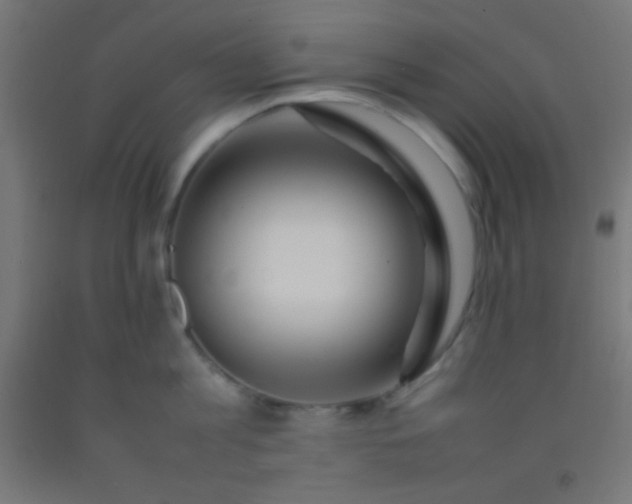 X0000092280813200709281244