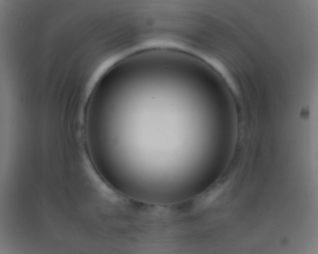 X0000092280815200709281244