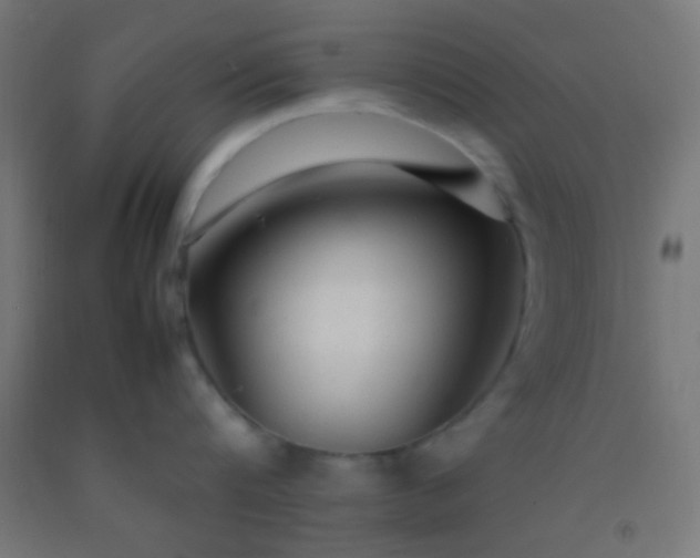 X0000092280816200709281244