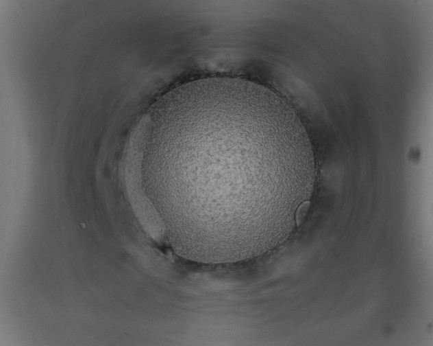 X0000092280817200709281244