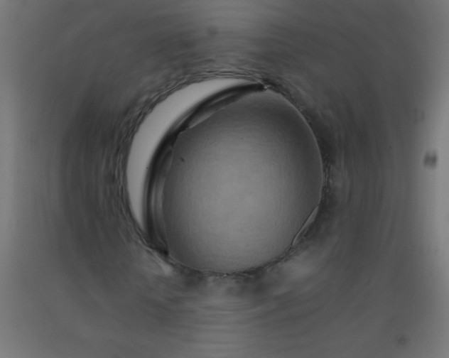 X0000092280818200709281244