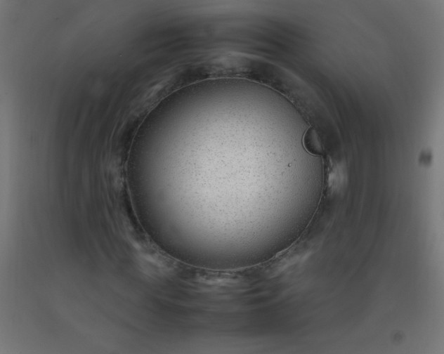 X0000092280819200709281244