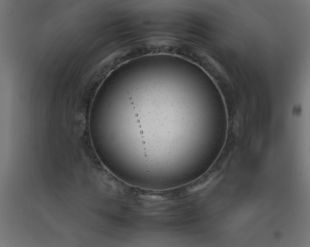 X0000092280821200709281244