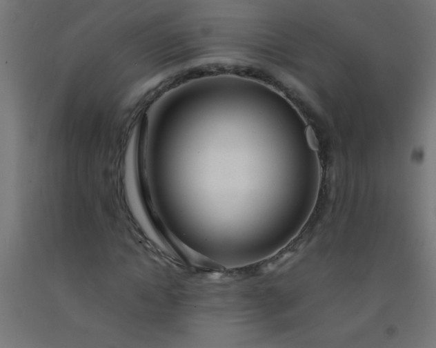 X0000092280822200709281244