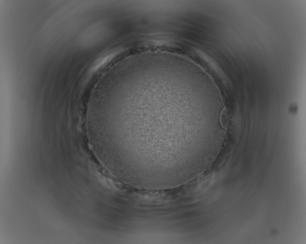 X0000092280823200709281244