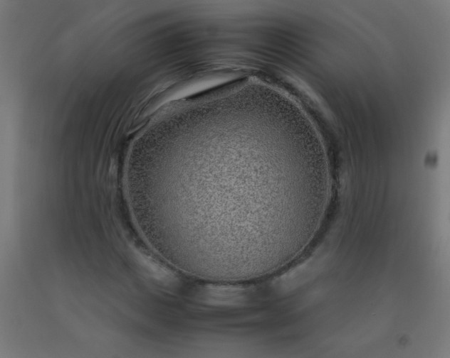 X0000092280825200709281244