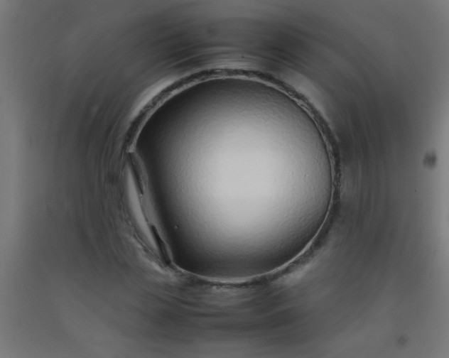 X0000092280829200709281244