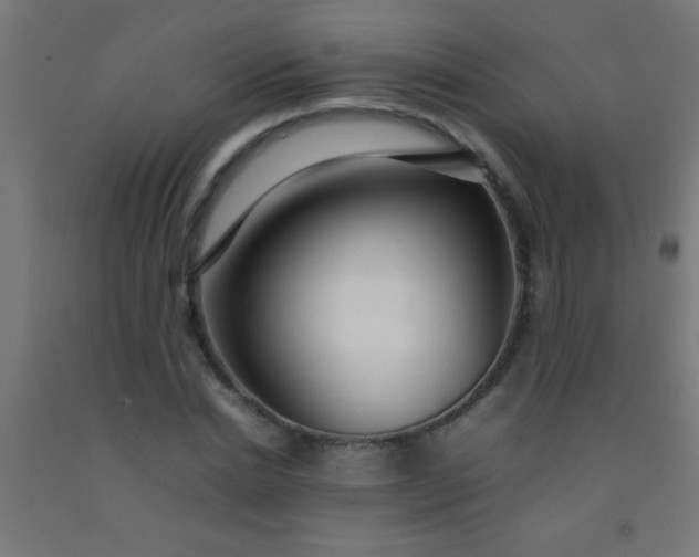 X0000092280830200709281244