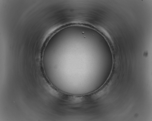 X0000092280831200709281244