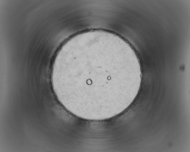 X0000092280832200709281244