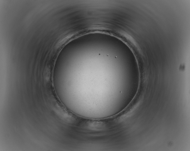 X0000092280833200709281244