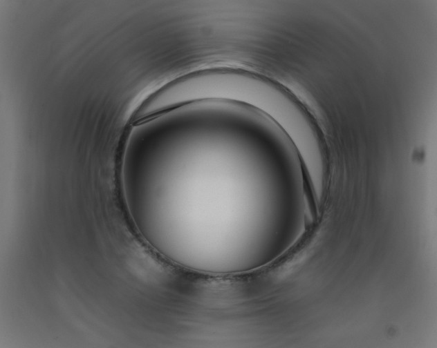 X0000092280834200709281244