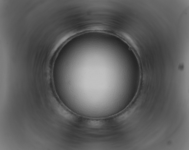 X0000092280835200709281244