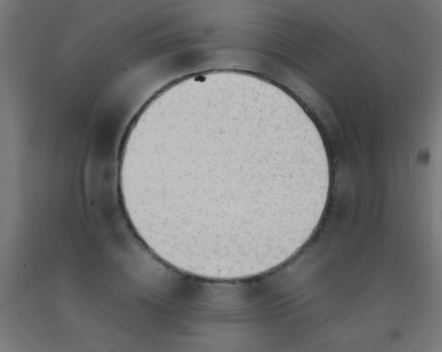 X0000092280836200709281244