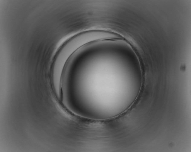 X0000092280838200709281244