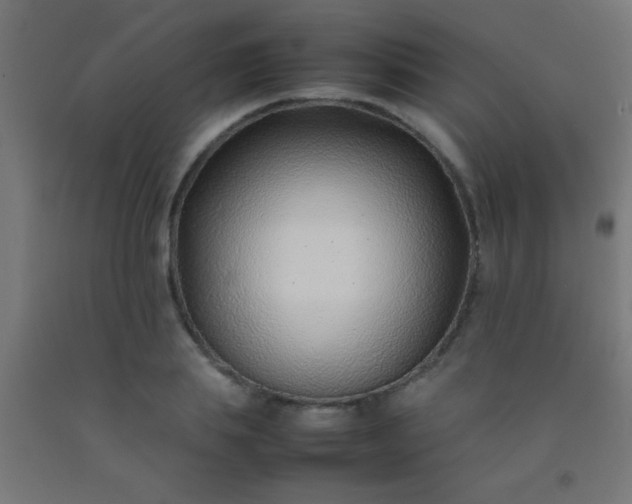 X0000092280839200709281244