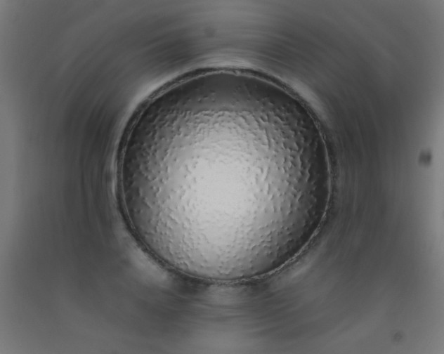 X0000092280840200709281244