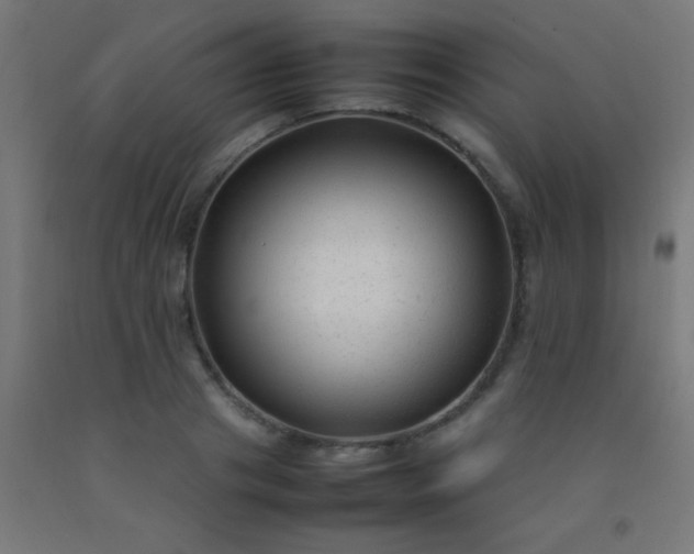 X0000092280841200709281244