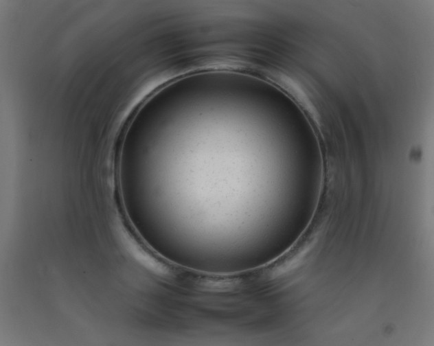 X0000092280843200709281244