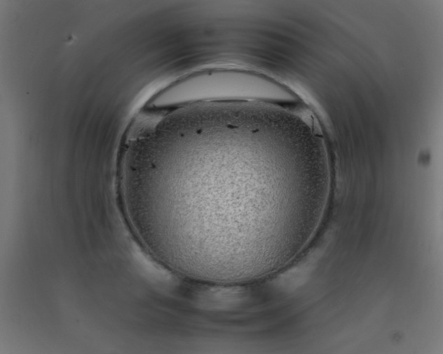 X0000092280845200709281244