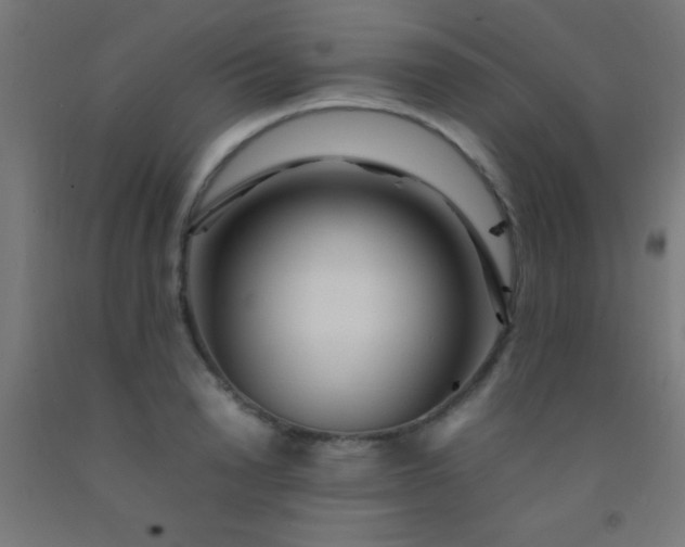 X0000092280846200709281244