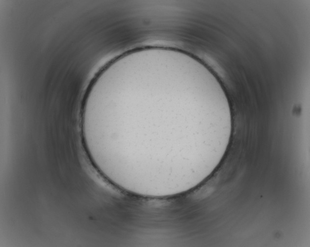 X0000092280848200709281244