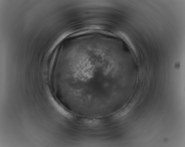 X0000092280851200709281244