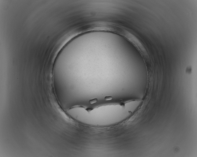 X0000092280852200709281244