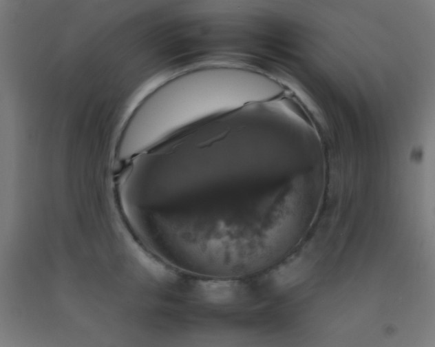 X0000092280853200709281244