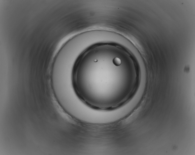 X0000092280854200709281244