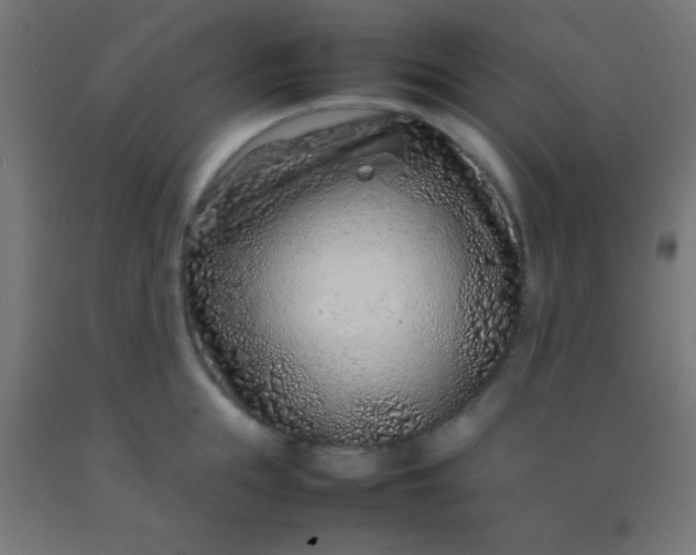 X0000092280855200709281244