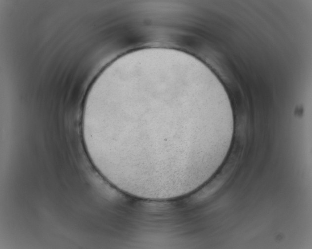 X0000092280856200709281244