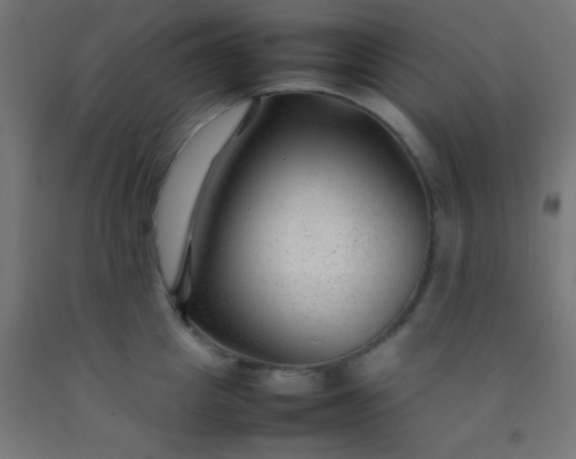 X0000092280857200709281244