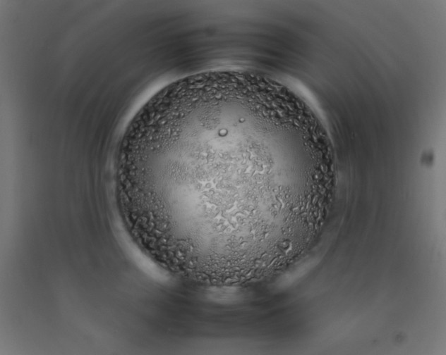 X0000092280859200709281244