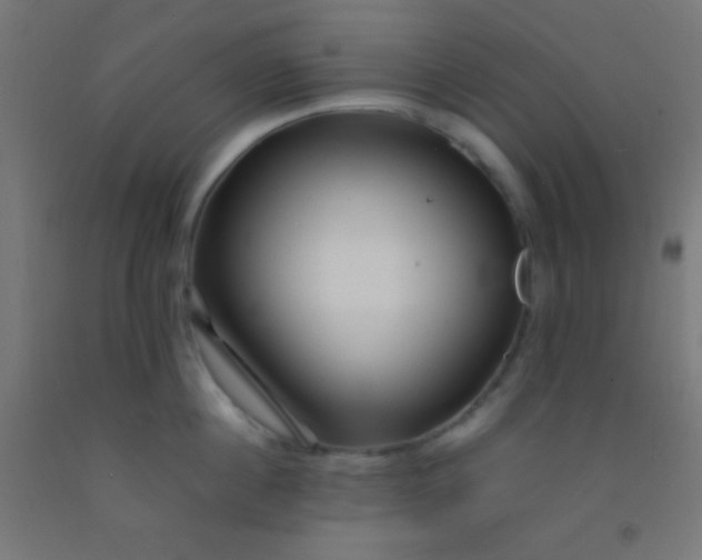 X0000092280860200709281244