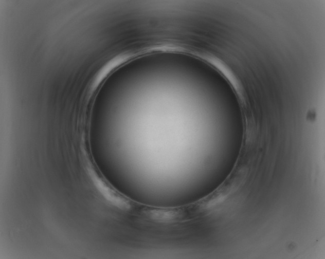 X0000092280861200709281244