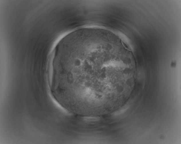 X0000092280863200709281244