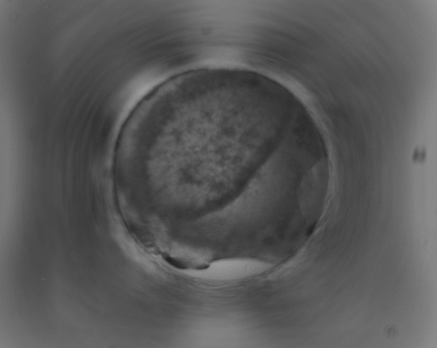 X0000092280864200709281244