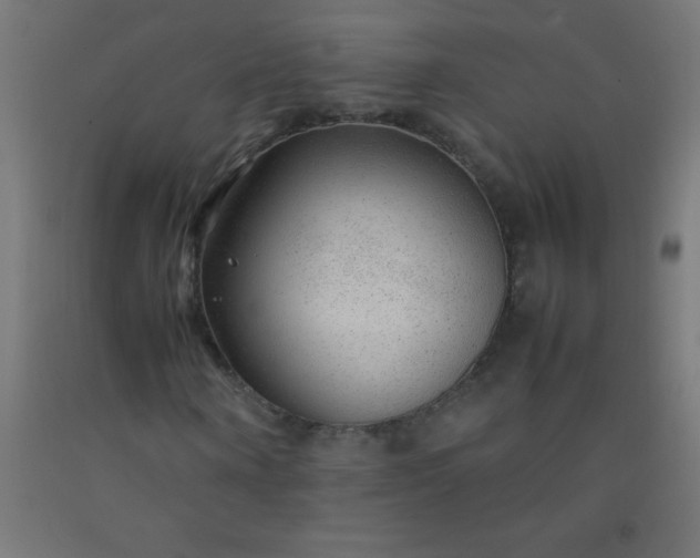 X0000092280866200709281244