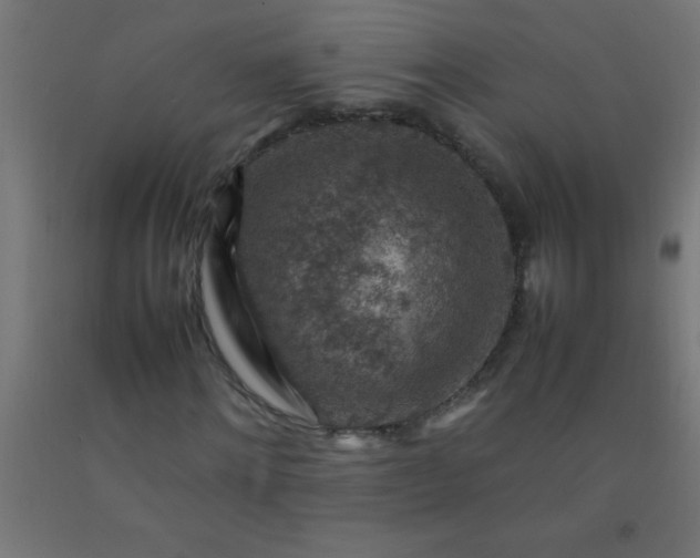 X0000092280868200709281244