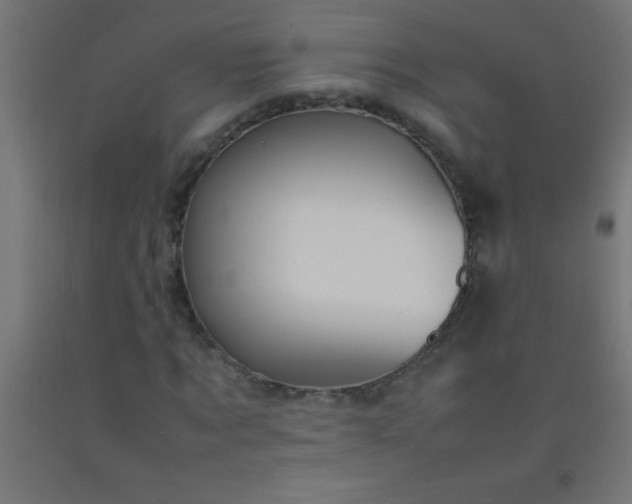 X0000092280869200709281244