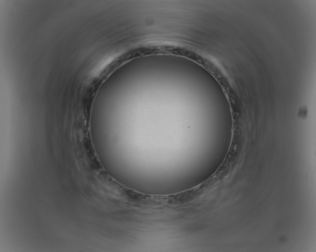 X0000092280871200709281244