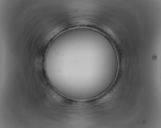 X0000092280873200709281243