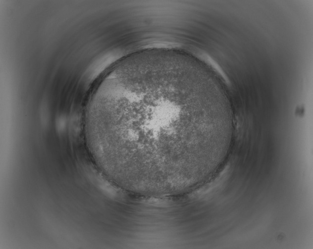 X0000092280874200709281243