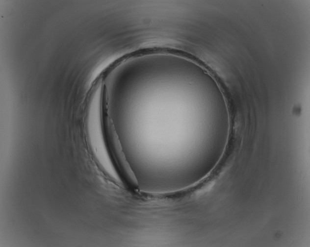 X0000092280877200709281243