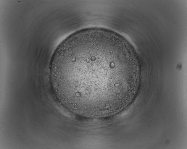 X0000092280879200709281243