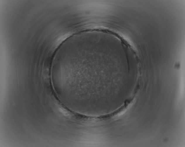 X0000092280881200709281243