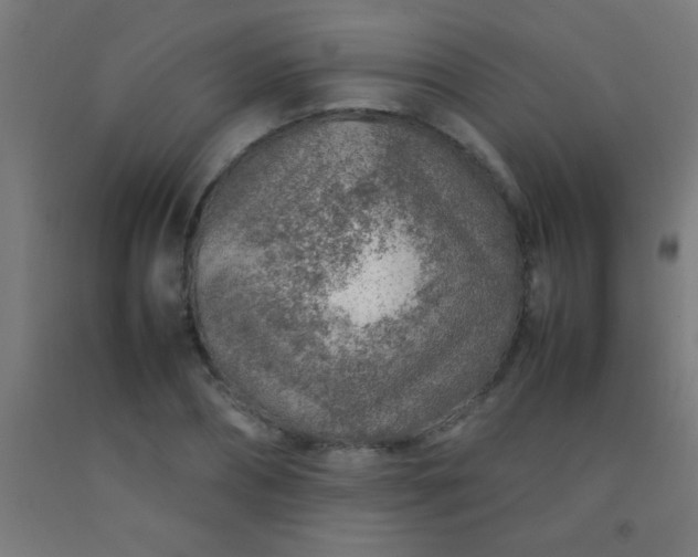 X0000092280882200709281243