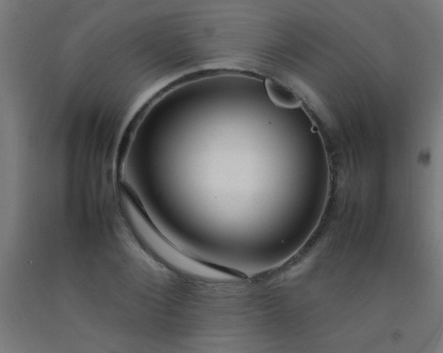 X0000092280884200709281243