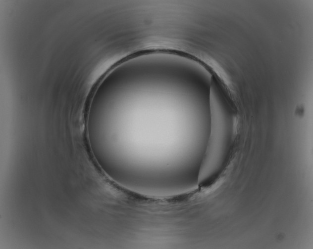 X0000092280885200709281243